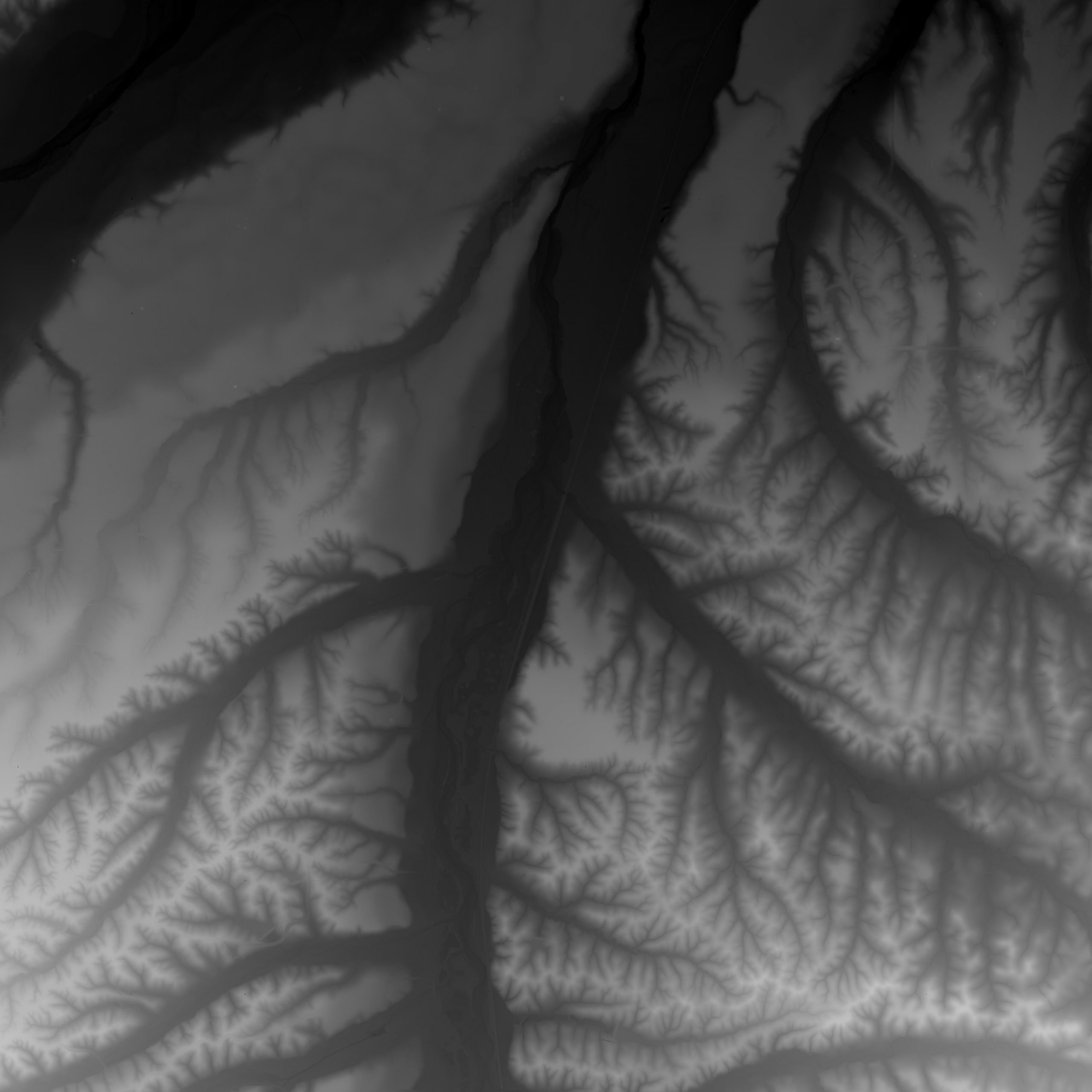 Raw Digital Elevation Model (DEM)